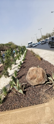 أمانة عمان: تأهيل أربع حدائق وثلاث منتزهات خلال عام 2025