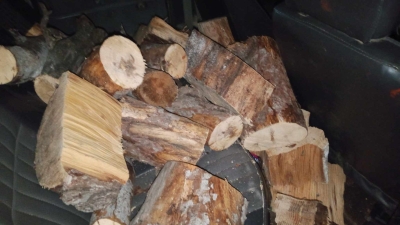 ضبط 8 أطنان من الحطب في محافة جرش بمنزل أحد التجار - صور