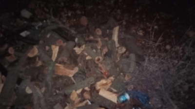 ضبط 8 أطنان من الحطب في محافة جرش بمنزل أحد التجار - صور