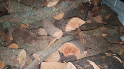 ضبط 8 أطنان من الحطب في محافة جرش بمنزل أحد التجار - صور