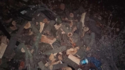 ضبط 8 أطنان من الحطب في محافة جرش بمنزل أحد التجار - صور