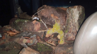 ضبط 8 أطنان من الحطب في محافة جرش بمنزل أحد التجار - صور