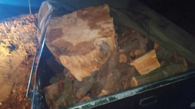 ضبط 8 أطنان من الحطب في محافة جرش بمنزل أحد التجار - صور