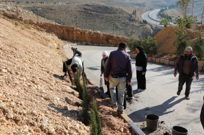 جامعة عمان العربية تنظم فعالية يوم الشجرة بالتعاون مع وزارة الزراعة وأمانة عمّان الكبرى