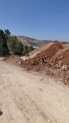 مخربون يعيثون فسادا في غابة وصفي التل دون رقيب ولا حسيب - صور