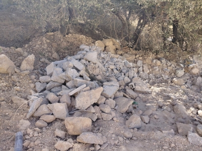 مخربون يعيثون فسادا في غابة وصفي التل دون رقيب ولا حسيب - صور