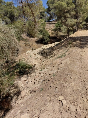 مخربون يعيثون فسادا في غابة وصفي التل دون رقيب ولا حسيب - صور