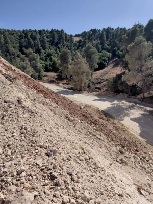 مخربون يعيثون فسادا في غابة وصفي التل دون رقيب ولا حسيب - صور