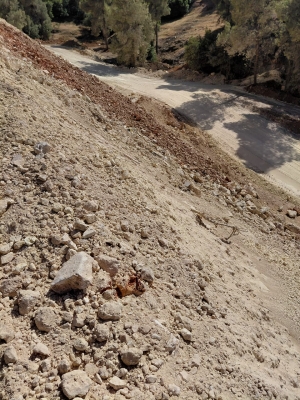 مخربون يعيثون فسادا في غابة وصفي التل دون رقيب ولا حسيب - صور