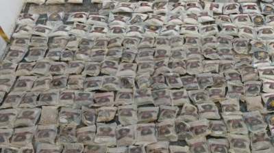 الأردن.. الجيش يحبط محاولة تهريب مخدرات بواسطة بالونات موجهة إلكترونيا