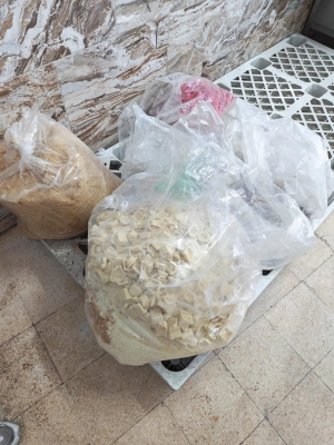 الاردن .. الغذاء والدواء:  إيقاف 7 منشآت عن العمل وإغلاق مشغل كيك - صور