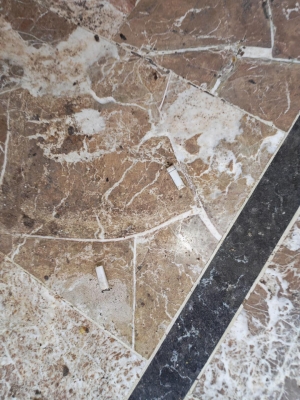 الاردن .. الغذاء والدواء:  إيقاف 7 منشآت عن العمل وإغلاق مشغل كيك - صور