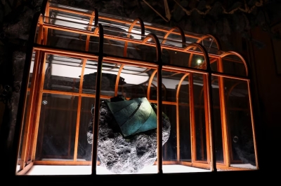 ثمنها نصف مليون دولار.. حقيبة جلد الديناصورات تحيي جدلا علميا