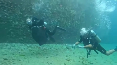 إنقاذ سلحفاة علقت في قناة تبريد بمجمع صناعي في العقبة