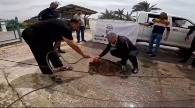 إنقاذ سلحفاة علقت في قناة تبريد بمجمع صناعي في العقبة