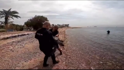 إنقاذ سلحفاة علقت في قناة تبريد بمجمع صناعي في العقبة