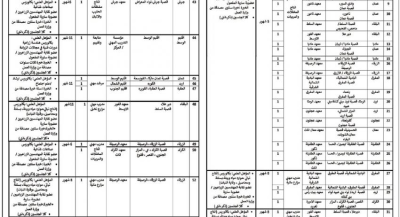 وظائف حكومية شاغرة ومدعوون للاختبار التنافسي (أسماء)