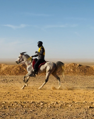 نور الدين داود النتشة يظفر بلقب سباق القدرة والتحمل الدولي الاول لعام 2026 لمسافة 100 كلم