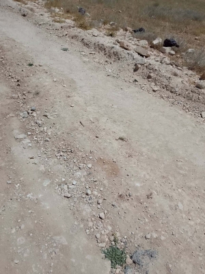 منذ أكثر من عام.. مطالب بتأهيل شارع في لب ومليح - صور