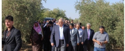 المساعيد والسرور نسايب - صور
