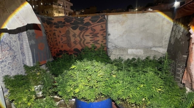 مكافحة المخدرات: إحباط محاولة تهريب كمية كبيرة من الكوكايين