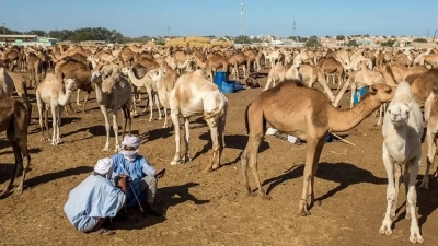 موريتانيا: ماذا تكشف رحلة لواحدة من أقل دول العالم زيارة؟
