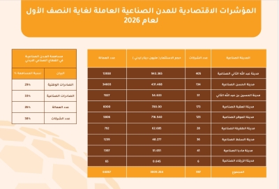 عبيدات : نتوقع استقطاب استثمارات نوعية في مدينة الزرقاء الصناعية