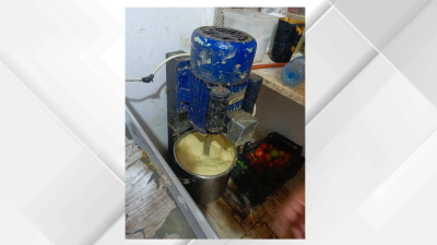 حملة تفتيشية في الجيزة تضبط مخالفات صحية وتحيل منشآت للجهات المختصة