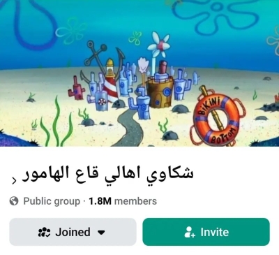 قاع الهامور يتصدّر الترند في مصر .. ما القصة؟