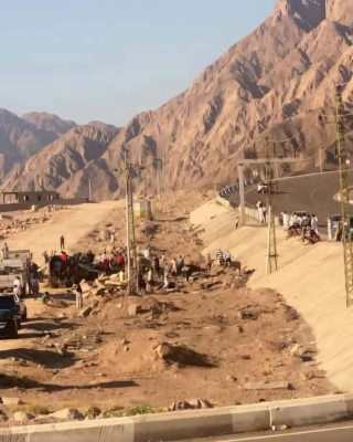 تفاصيل إضافية حول حادث في مصر قضى به 10 أردنيين