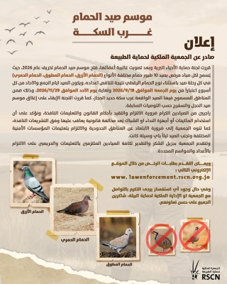 فتح موسم صيد الحمام في الأردن