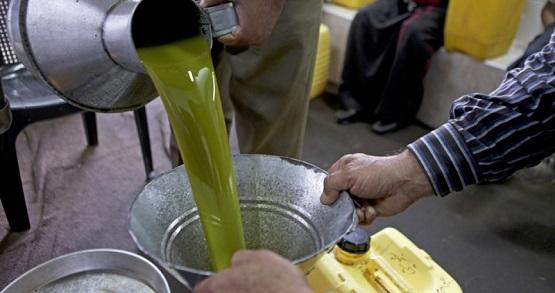 إدخال الزيت الفلسطيني للأردن يبدأ الخميس