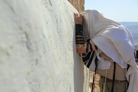 زيارة اليهود لمقام هارون لم تكن الاولى - صور