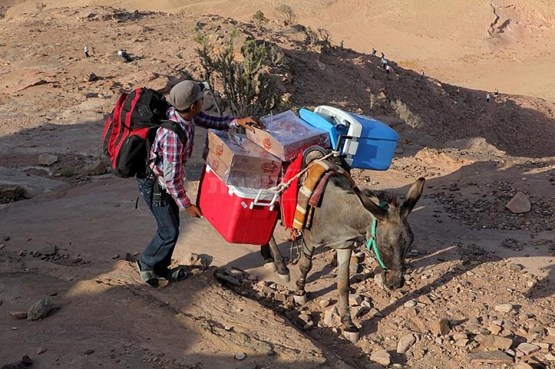 زيارة اليهود لمقام هارون لم تكن الاولى - صور