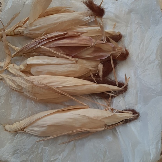 لأول مرة .. ذرة ملونة في الكرك - صور