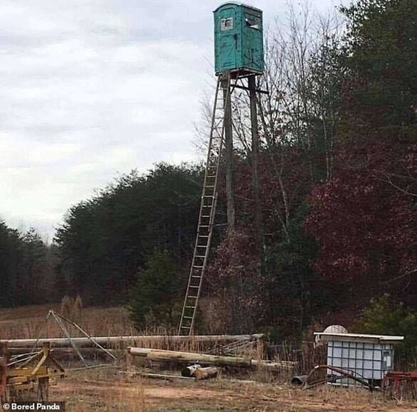 أغرب تصاميم المراحيض في العالم! -صور