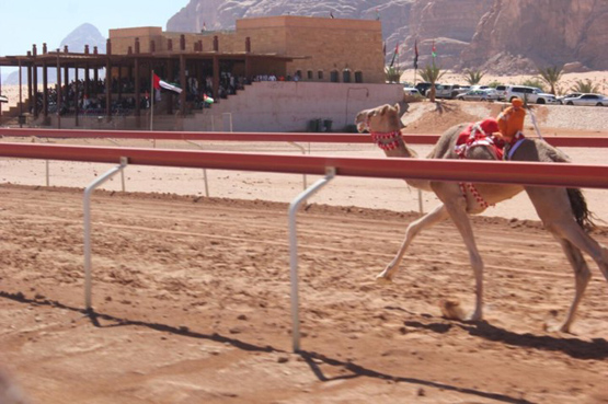 مهرجان الشيخ زايد للهجن في رم الجمعة  