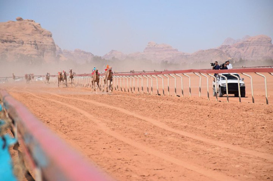 مهرجان الشيخ زايد للهجن في رم الجمعة  