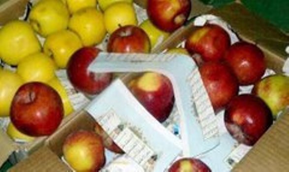 تفاح إيراني ملفوف بقصاصات من القرآن