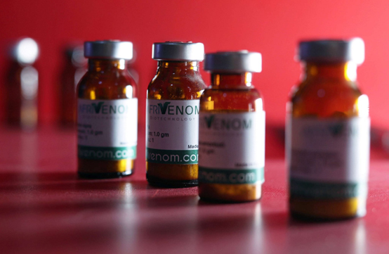 مصري يجني ثروة من سموم العقارب - صور