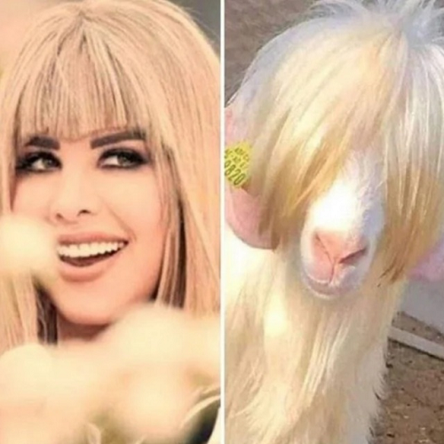 شمس الكويتية تسخر من نفسها - صورة