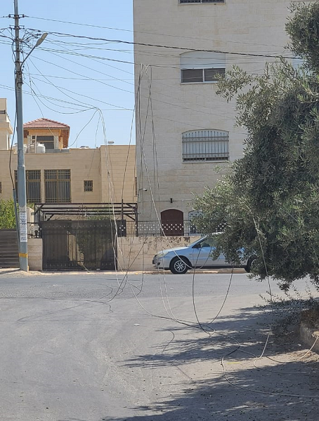 قلع شجرة يقطع الكهرباء عن ضاحية النخيل