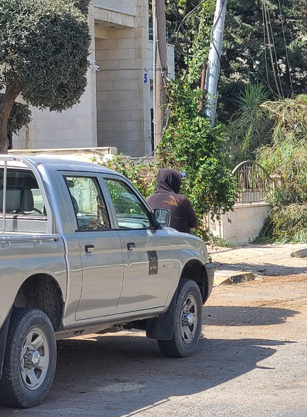 قلع شجرة يقطع الكهرباء عن ضاحية النخيل