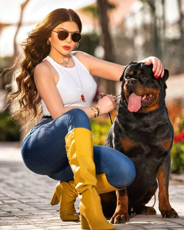 صور هيفاء وهبي.. إطلالات مثيرة ومختلفة