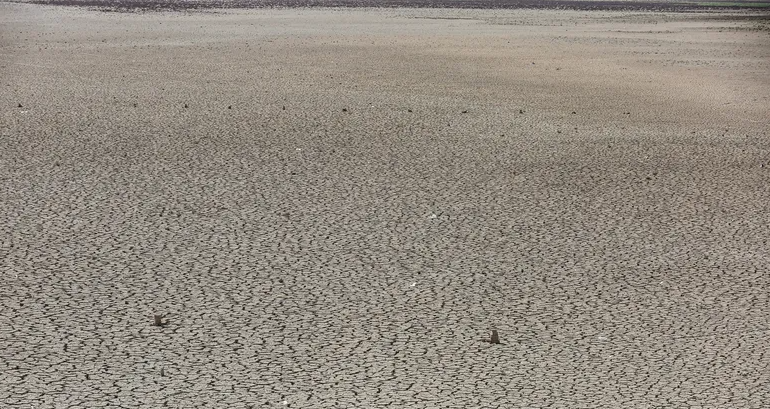 الجفاف يضرب نصف سكان العراق