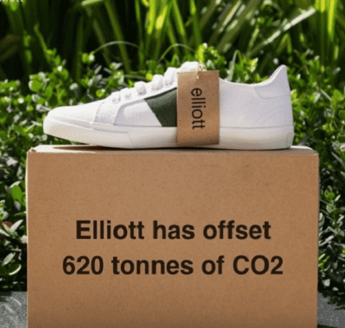 علامة تجارية تصنع أول أحذية رياضية مصنوعة من النباتات