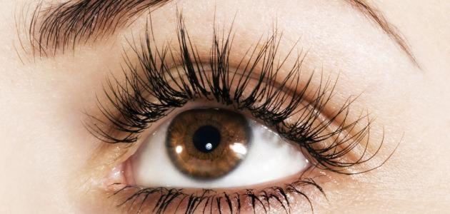 طرق طبيعية لتطويل وتكثيف الرموش