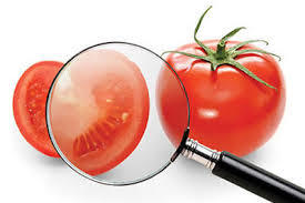 كشف عدد الفحوصات للمواد الغذائية والدوائية بالأردن