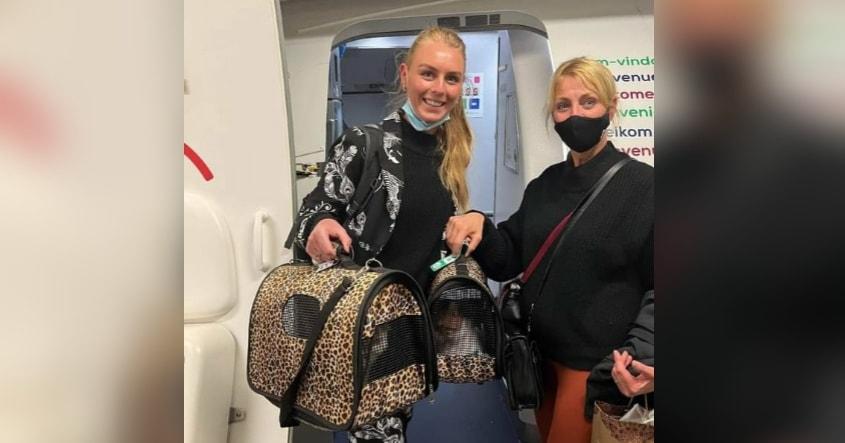 وصول قطتين سوريتين إلى هولندا 