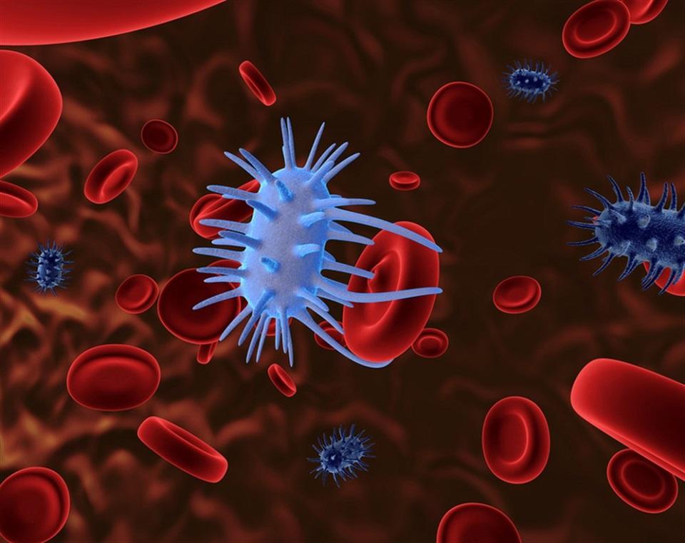 الالتهابات البكتيرية والعدوى الفيروسية ما الفرق